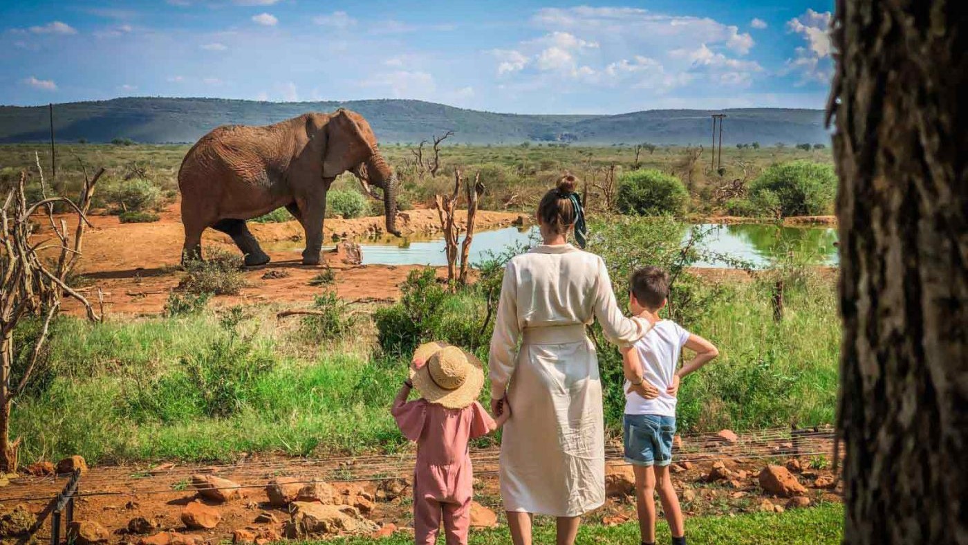 Ultimate South African Adventure: A 10-Day Big 5 Safari in South Africa
