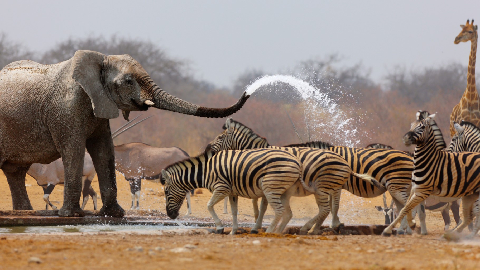 Everything you need to know about traveling to Rwanda