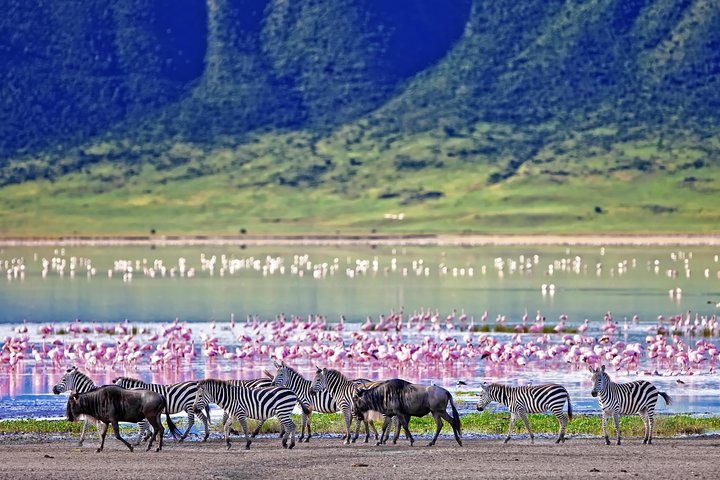 Lake Naivasha – Kenya’s Freshwater Jewel