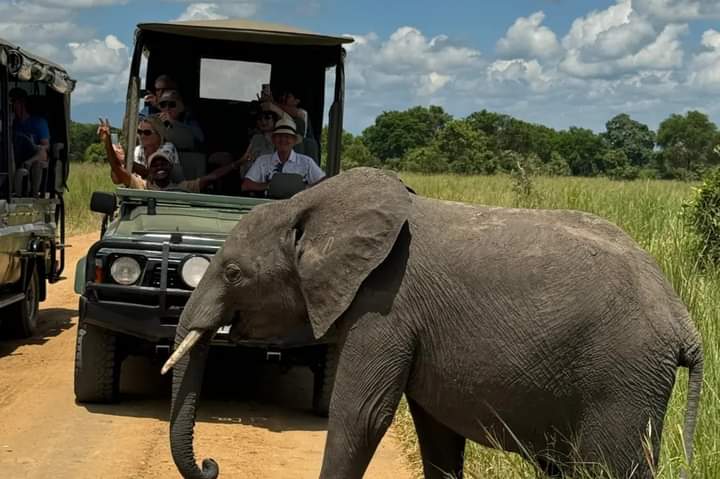 Travel to Zanzibar — Tanzania’s Island Paradise