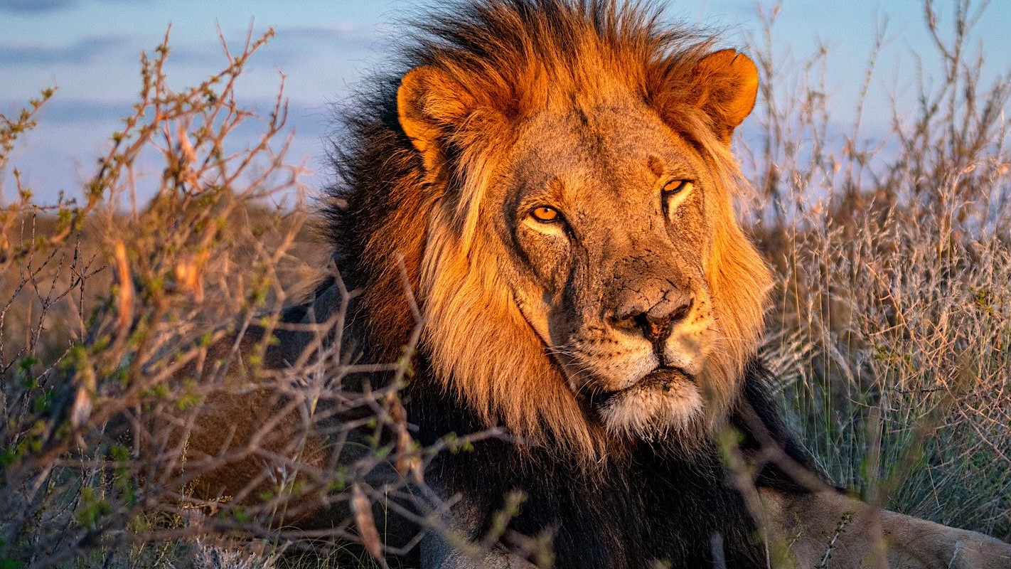 "Karera to Kigwena: Burundi's Natural Wonders Tour"