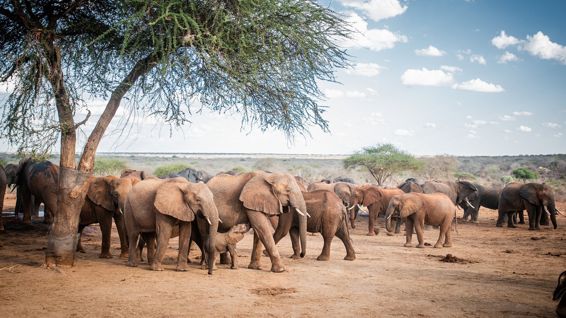 "Comoros Coastal Adventure:Moroni,Mount Karthala & Chindini"