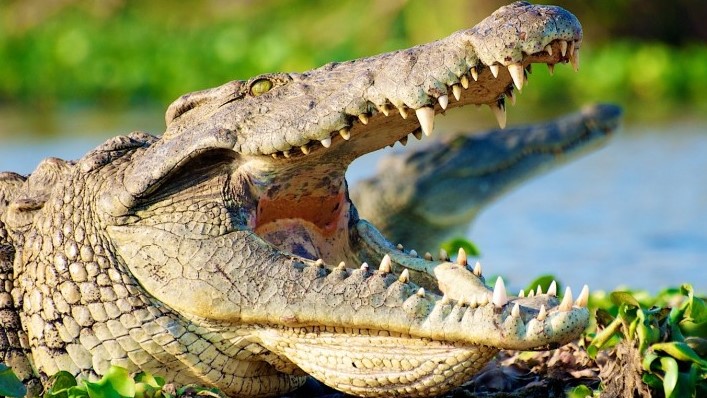 Malawi Wilderness Explorer - 5 Days