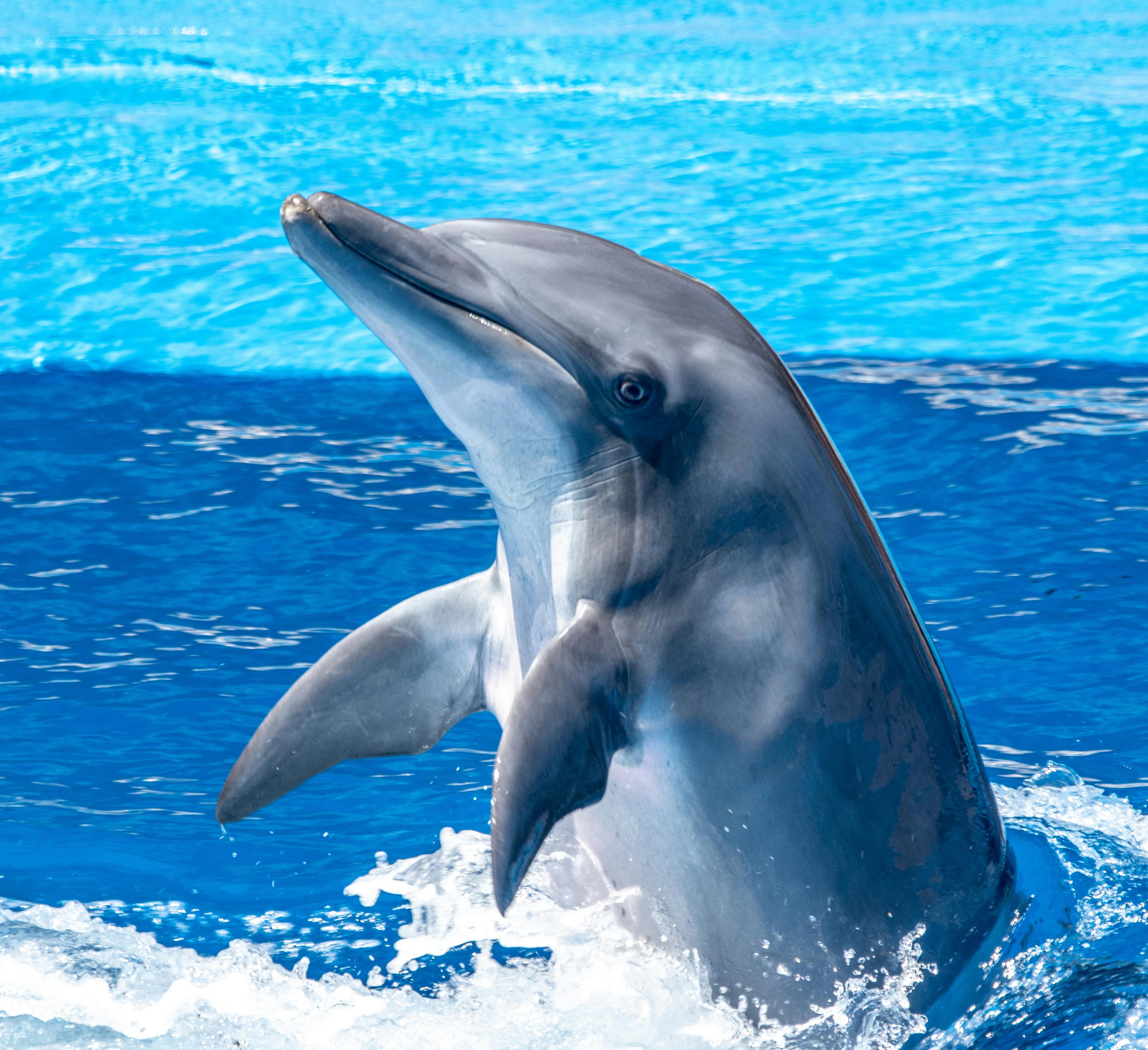 Enchanting Reunion Adventure: 7 Days of Nature and Culture