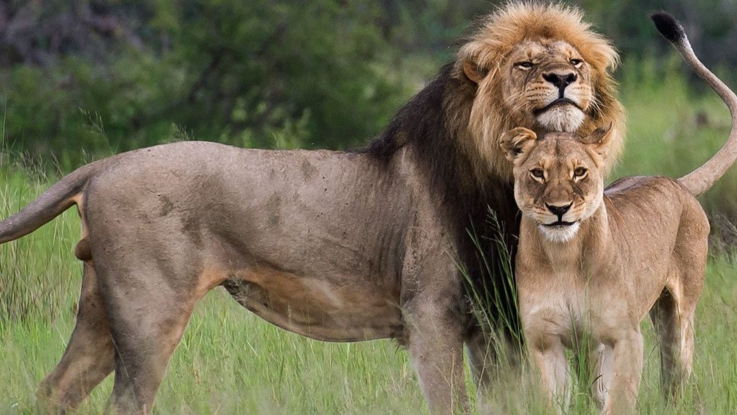 Discovering East Africa: Kampala, Kigali, Nairobi Expedition