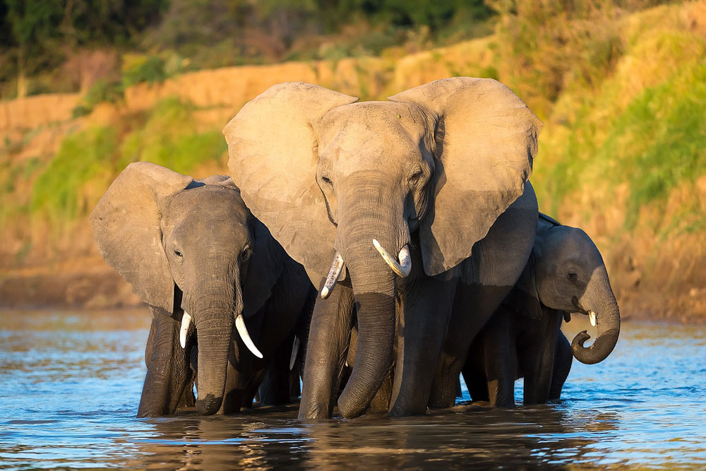 Comoros Coastal Adventure: Moroni to Marine Park Discovery